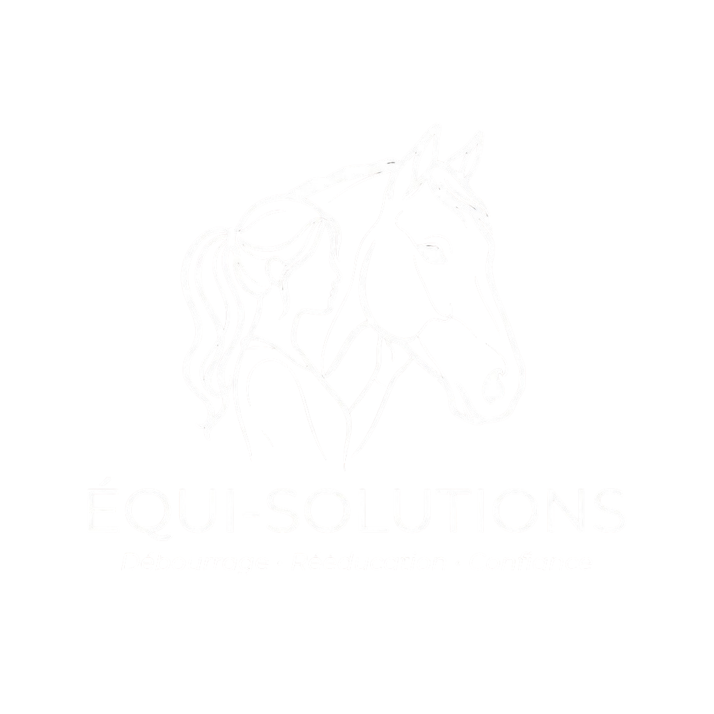 Équi-Solutions Logo
