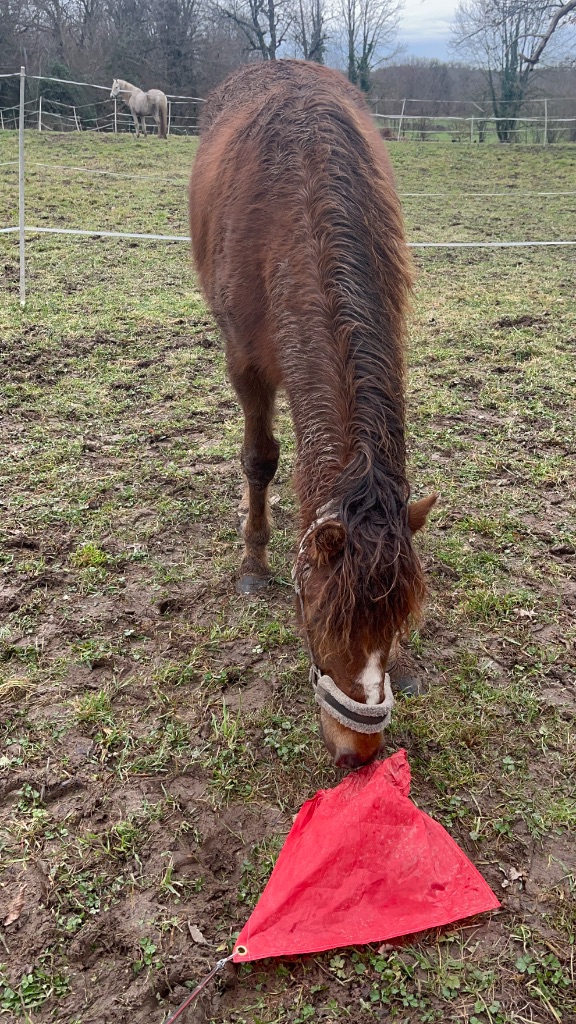 Travail avec drapeau